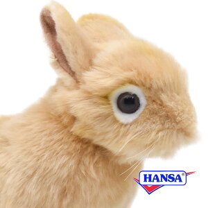 HANSA nT ʂ7022 lU[hh[trbg ETM  e A 