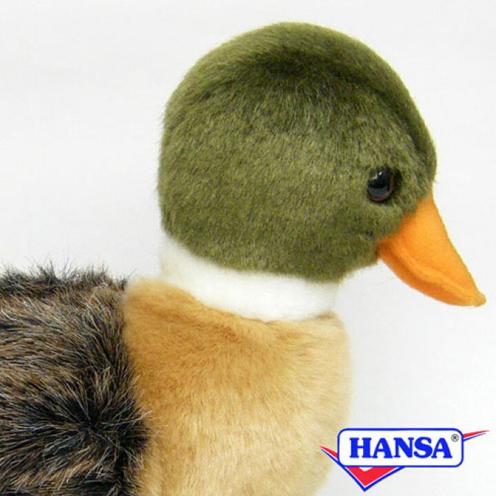 楽天市場】HANSA ハンサ ぬいぐるみ2053 マガモの仔 鴨 カモ こがも 