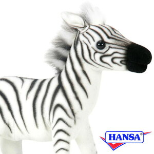 HANSA nT ʂ2651 V}E} Ȕn ܂ A 
