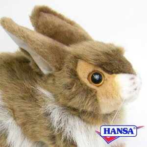 HANSA nT ʂ2796 ETM  e A 