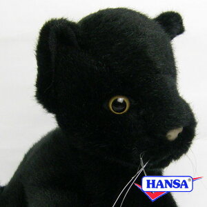 HANSA nT ʂ3426 NqE̎e ^ qE A 