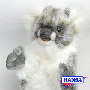 HANSA nT ʂ3525 RA̎e ԂRA A 