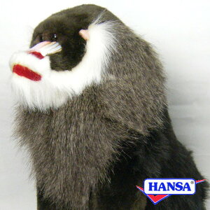 HANSA nT ʂ3577 }h  T A 