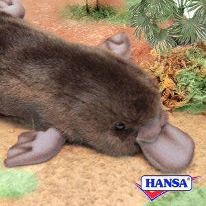 HANSA nT ʂ3635 JmnV ̂͂ A 