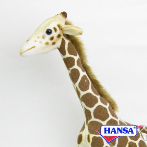 HANSA nT ʂ3731 L  A 