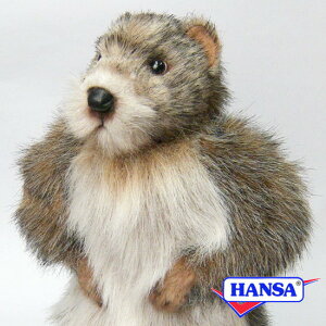 HANSA nT ʂ3830 }[bg A 