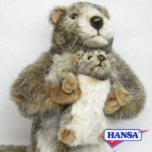 HANSA nT ʂ4162 eq}[bg ꂳ ǂ A 