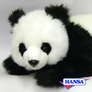 HANSA nT ʂ4182 WCAgp_̎e ς qp_ A 