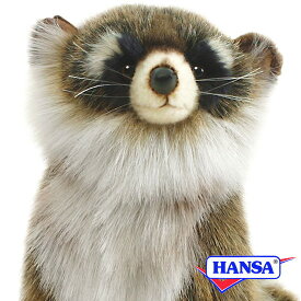 HANSA ハンサ ぬいぐるみ4248 アライグマ あらいぐま リアル 動物