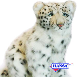 HANSA nT ʂ4355 LqE̎e ^ qE A 