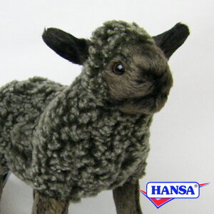 HANSA nT ʂ4561 qcW̎e r Ђ qr er A 