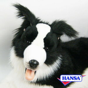 HANSA nT ʂ4564 {[_[R[  Ck A 