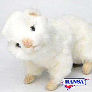 HANSA �n���T �ʂ������4839 �z���C�g�t�F���b�g �C�^�` �� ���A�� ����