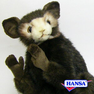 HANSA nT ʂ5166 ACAC rU  T A 