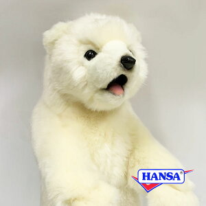 HANSA nT ʂ5438 zbLNO}̎e VN} 낭   A 