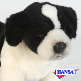 HANSA ハンサ ぬいぐるみ5663 ボーダーコリーの仔 犬 コイヌ 仔犬 子犬 リアル 動物