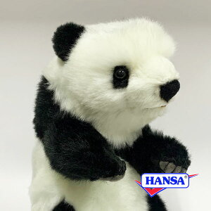 HANSA nT ʂ5808 p_ ς A 