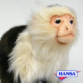 HANSA ハンサ ぬいぐるみ5851 オマキザル 猿 サル リアル 動物