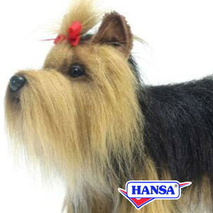 HANSA nT ʂ5909 [NV[eA  Ck A 