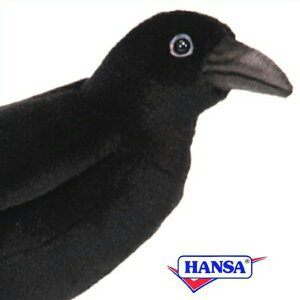 HANSA �n���T �ʂ������6266 �J���X �G ���炷 ���A�� ��