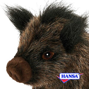 HANSA nT ʂ6282 CmVV  ̂ A 