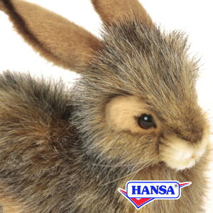 HANSA nT ʂ6284 IOETM ETM  e A 