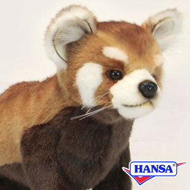 HANSA ハンサ ぬいぐるみ6301 レッサーパンダ レッドパンダ リアル 動物