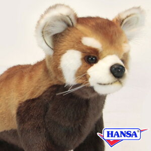 HANSA nT ʂ6301 bT[p_ bhp_ A 