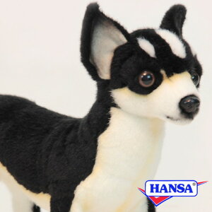 HANSA nT ʂ6367 `  Ck A 