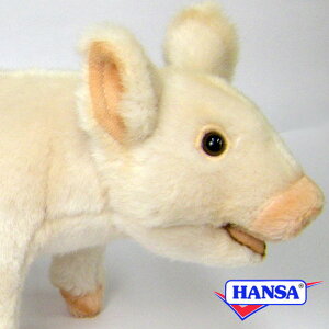 HANSA nT ʂ6455 u^  Ԃ A 