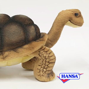 HANSA nT ʂ6461 ]EK T J  A ঒