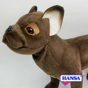 HANSA nT ʂ6594 t`uhbO  Ck A 