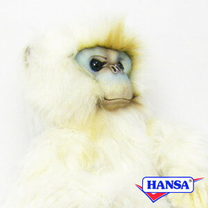 HANSA nT ʂ6765 VVoiU  T A 