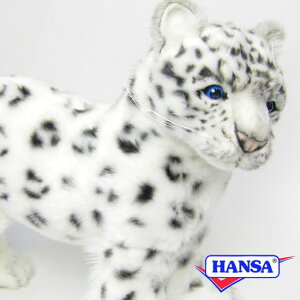 HANSA nT ʂ6781 LqE ^ qE A 