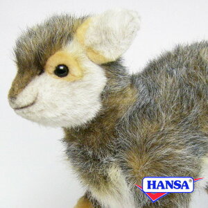 HANSA nT ʂ6821 fBNfBN Ae[v CE A 