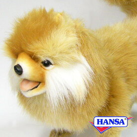 HANSA ハンサ ぬいぐるみ7018 ポメラニアン 犬 イヌ リアル 動物