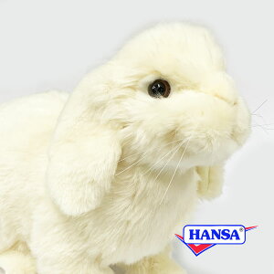 HANSA nT ʂ7024 bvC[rbg ETM  e A 