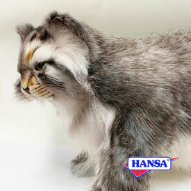 HANSA ハンサ ぬいぐるみ7077 マヌルネコ マヌル猫 リアル 動物