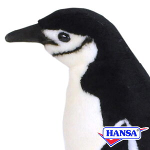 HANSA nT ʂ7082 ASqQyM ؂񂬂 A 