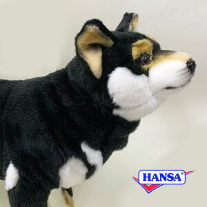HANSA nT ʂ7242   Ck A 