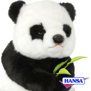 HANSA nT ʂ7475 WCAgp_ ς A 