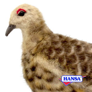 HANSA nT ʂ7647 C`EĖ  炢傤 A 