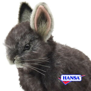 HANSA nT ʂ8129 sO~[rbg ETM  e A 