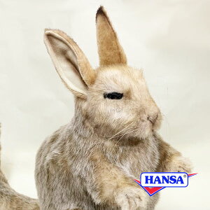 HANSA nT ʂ8144 rXJb` AfXETM A 