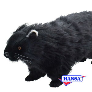 HANSA nT ʂ8147 rgO  Ck A 