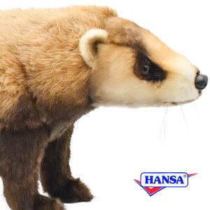 HANSA nT ʂ8148 jzAiO} {AiO} F xA[ A 