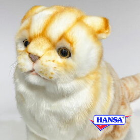 HANSA ハンサ ぬいぐるみ8156 スコティッシュフォールド ジンジャー 猫 ネコ リアル 動物