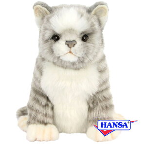 HANSA nT ʂ8265 tFAEFCEbhpwbhJo[ lR O[ CAT StNuwbhJo[