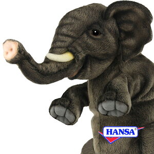 HANSA nT ʂ8462 nhpybg ]E   A 