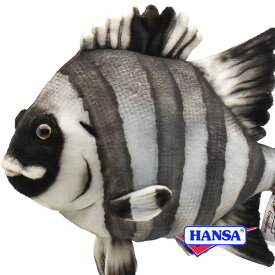 HANSA ハンサ ぬいぐるみ8513 イシダイ 鯛 リアル 魚 サカナ